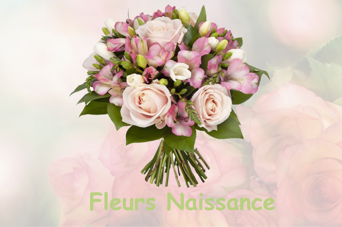 fleurs naissance BELLERAY