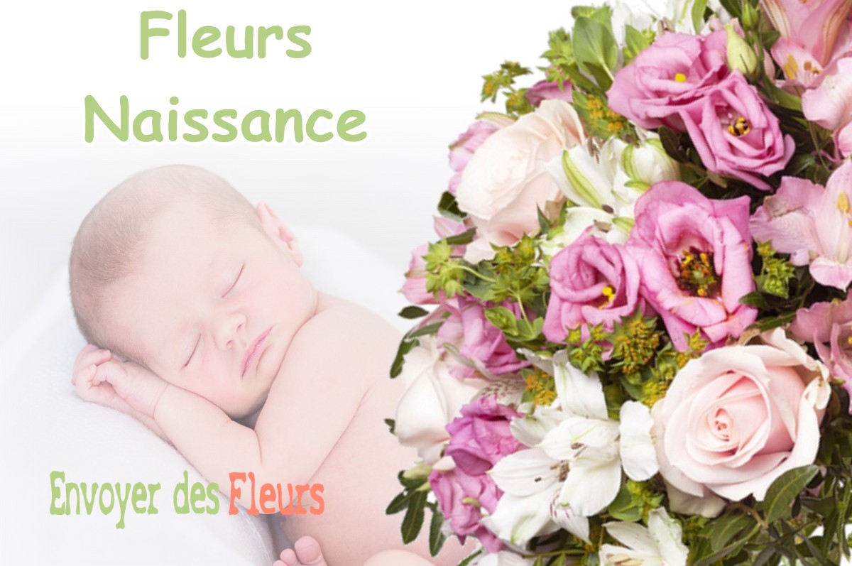 lIVRAISON FLEURS NAISSANCE à BELLERAY